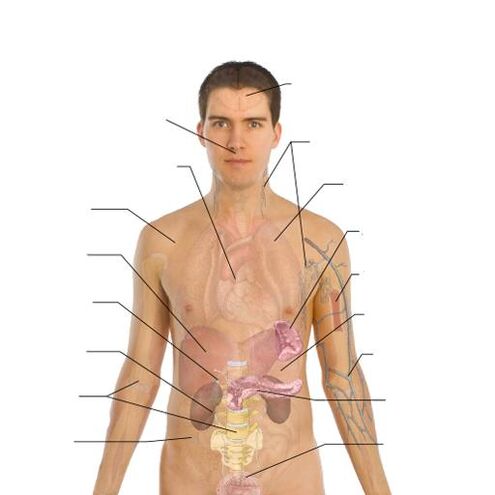 Σημάδια παρουσίας παρασίτων σε διάφορα όργανα